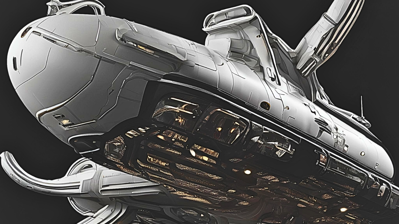 Silver Nautilus